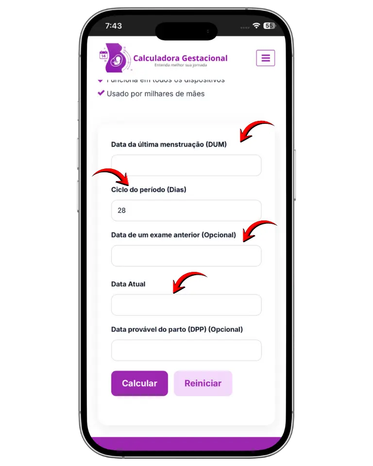 Preencher o Formulário Requerido calculadoraagestacional.com.br
