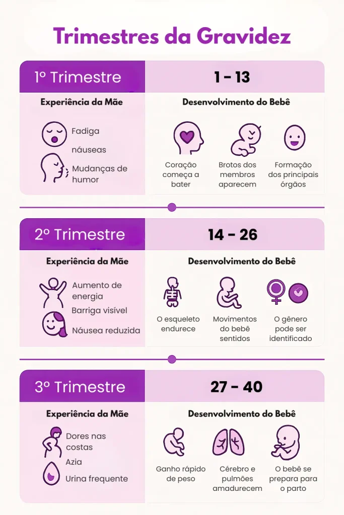 Trimestres da Gravidez Explicados