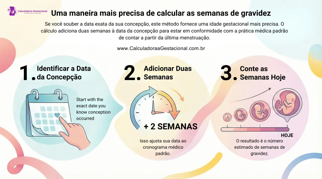 Calcular as Semanas de Gravidez Após a Concepção Infográfico