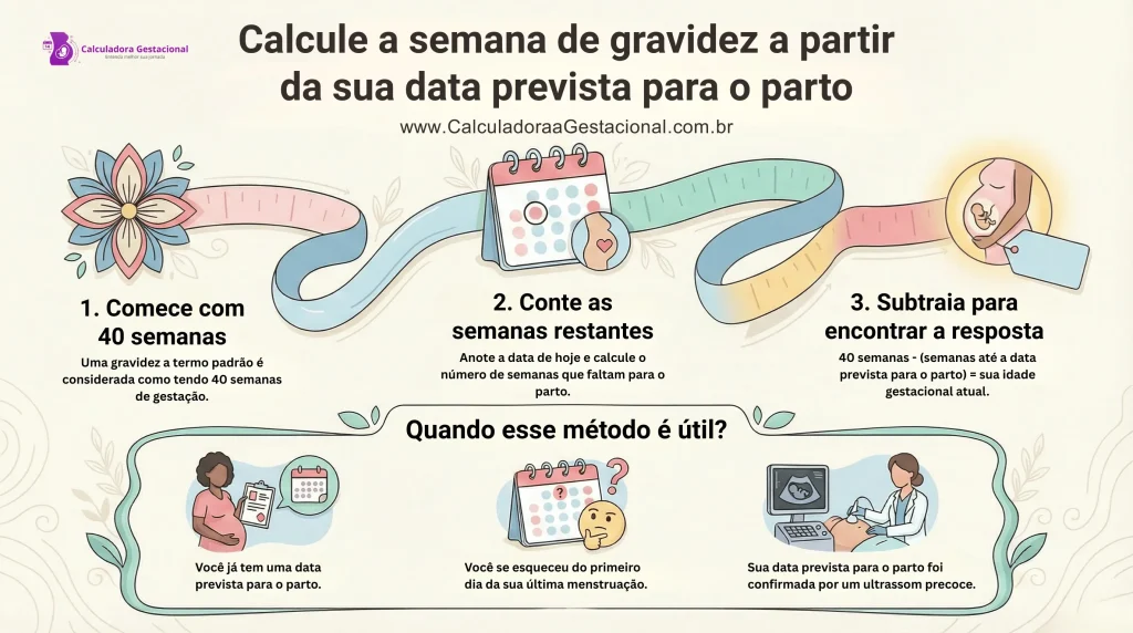 Cálculo das Semanas de Gravidez Usando a Data Prevista para o Parto Infográfico