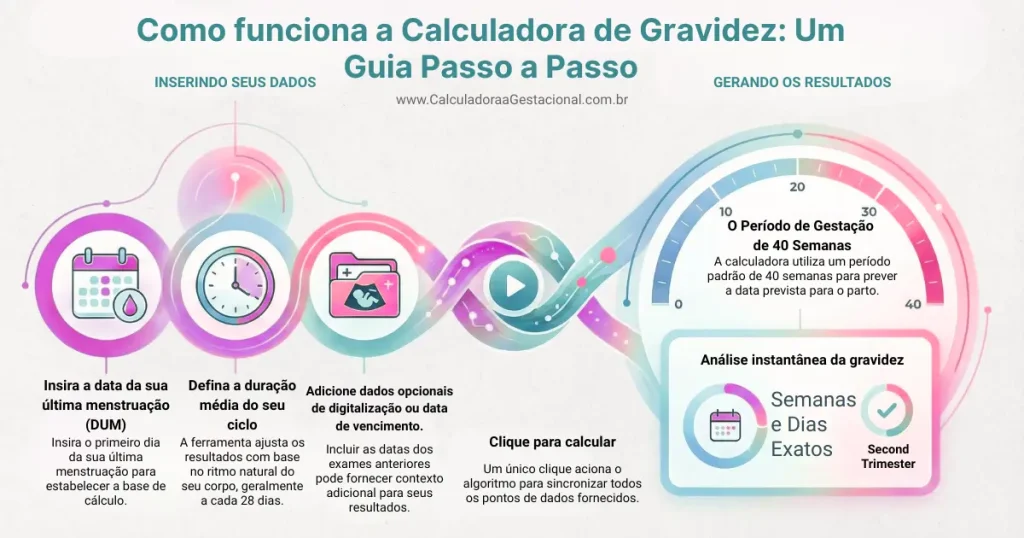 Como Funciona a Calculadora de Gravidez Processo passo a passo infográfico